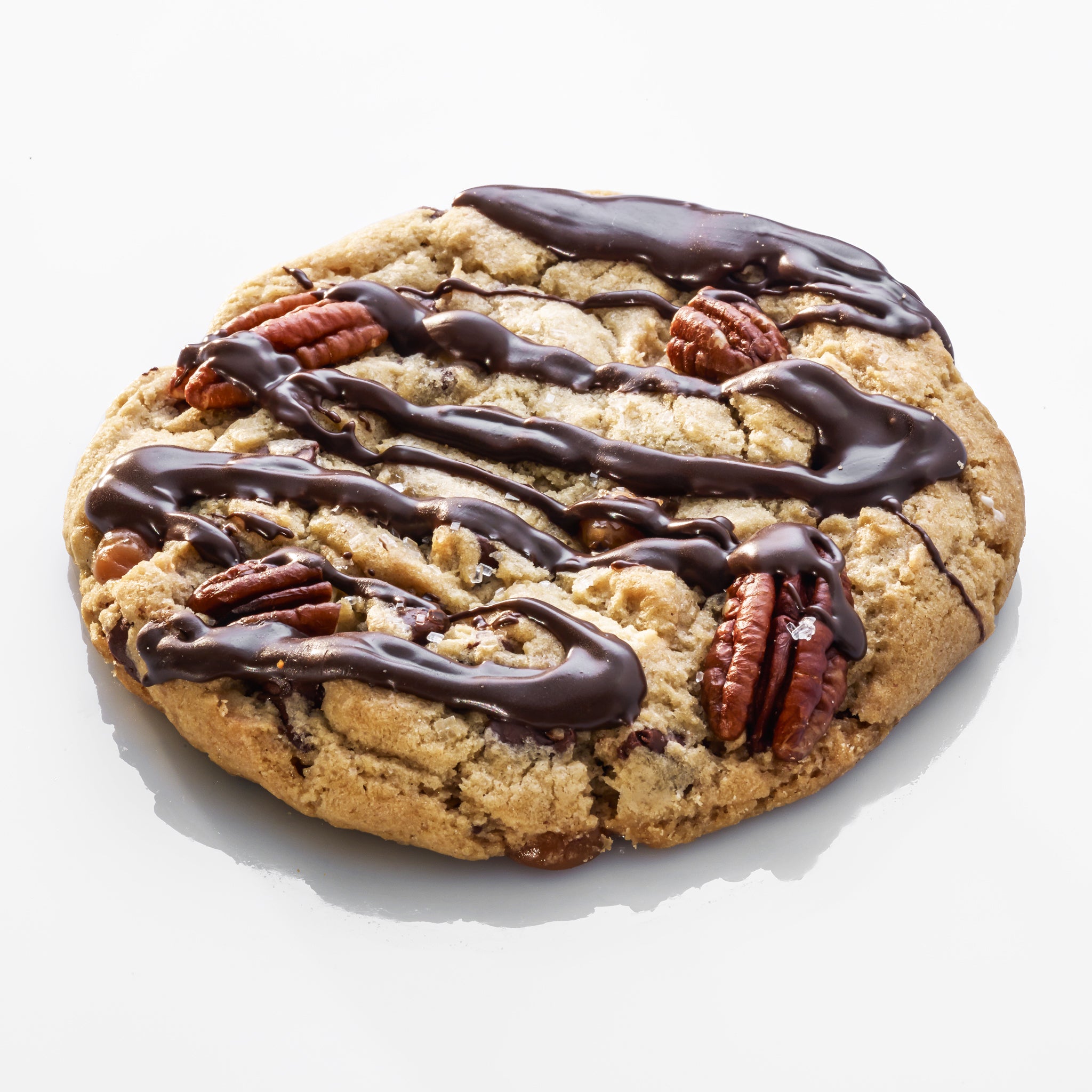 Giant Turtle Cookie Mary's Mountain Cookies Downtown Loveland